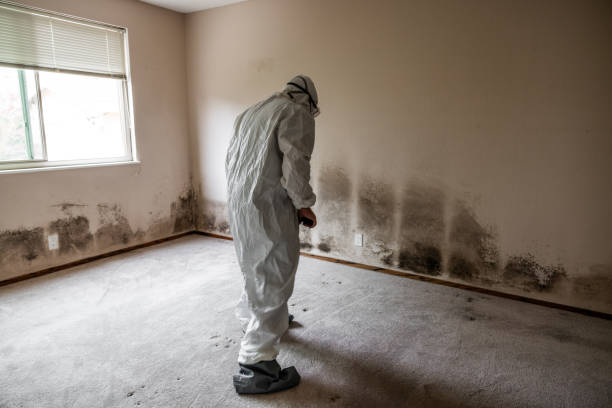 Best Residential Mold Inspection & Testing  in Columbia Heights, MN